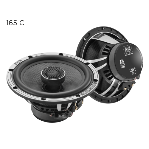 L165C - Acoustic